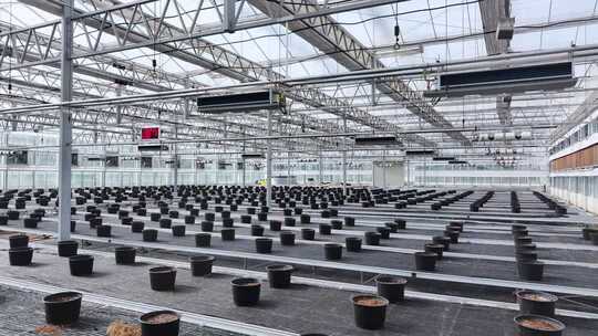 现代农业温室育苗车间