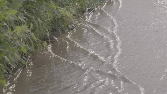 逆光拍摄雨后山路的金色水流LOG