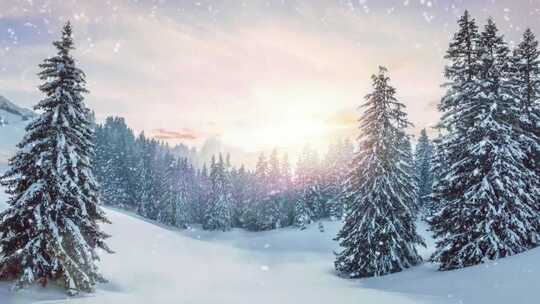 唯美松林雪景