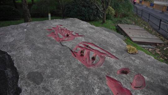 杭州西湖护国仁王寺遗址