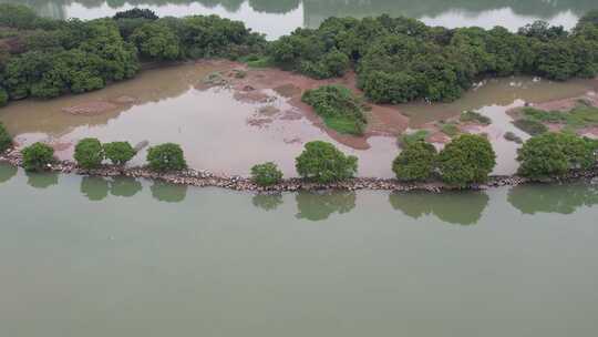 生态湿地保护区航拍