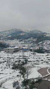 美丽乡村冬天雪景竖屏航拍