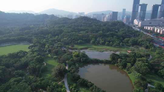 深圳莲花山公园及周边建筑交通