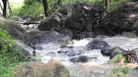 森林中 山泉小溪水