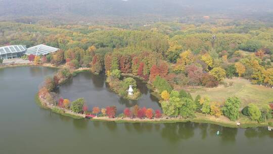 南京湖泊前湖景区景点航拍视频素材模板下载