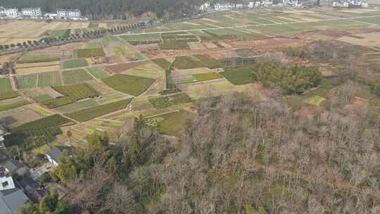 航拍视角下的安徽皖南乡村农田全景