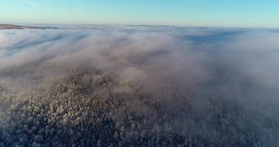 航拍大兴安岭冬季山林雾凇云雾