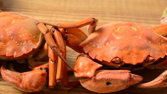 厨房桌子上的螃蟹