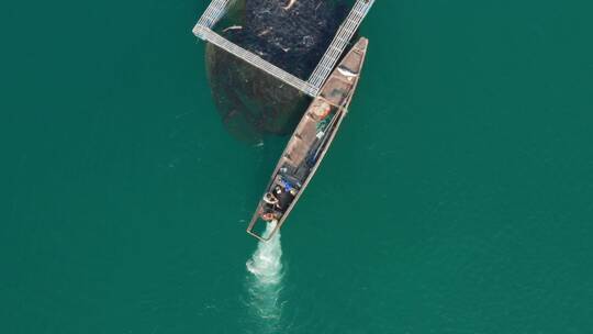 千岛湖淡水鱼网箱生态养殖胖头鱼视频素材模板下载