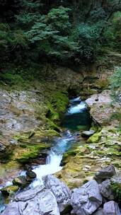 山水如画，愿你晨起有微笑所遇皆美好，风景