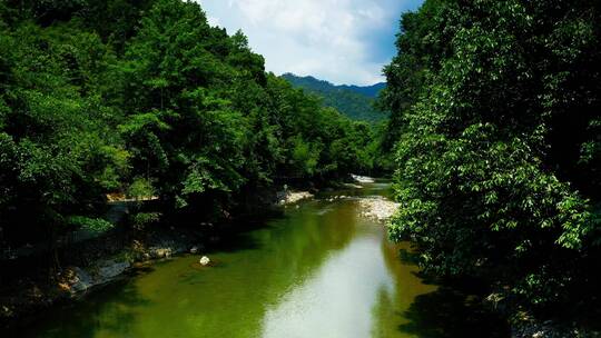 丛林掩映中的绕南古制瓷遗址