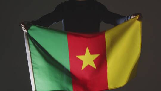 工作室拍摄的手持喀麦隆国旗的人视频素材模板下载