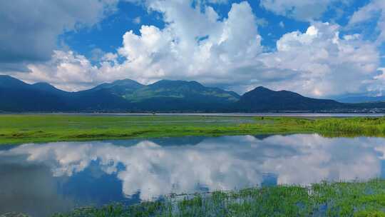 拉市海湿地公园夏天