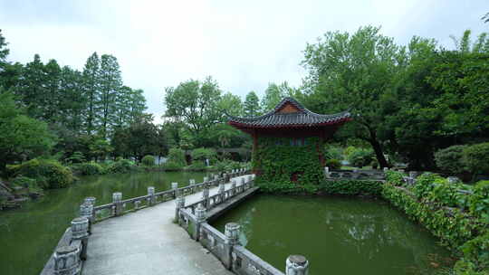 武汉东湖磨山景区盆景园