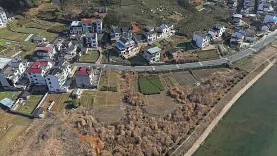 乡村道路旁的房屋与田地河流景观