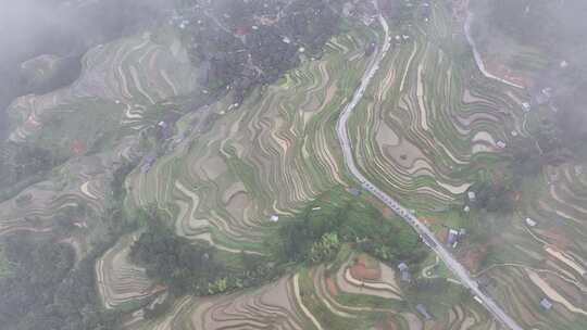 加榜梯田航拍视频素材模板下载