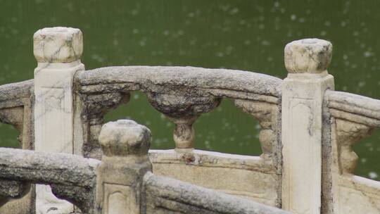 中式园林古莲花池雨景视频素材模板下载