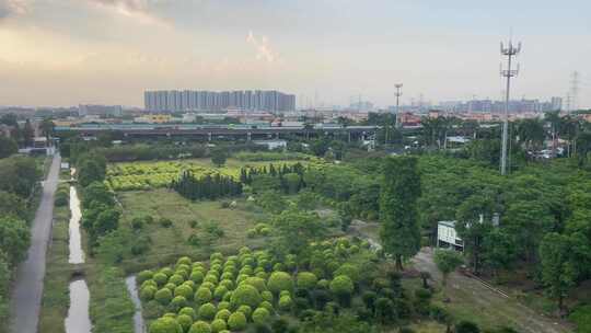 日落时分在中国乘高铁旅行。从里面看