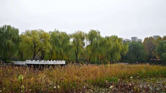 河北省石家庄市裕西公园