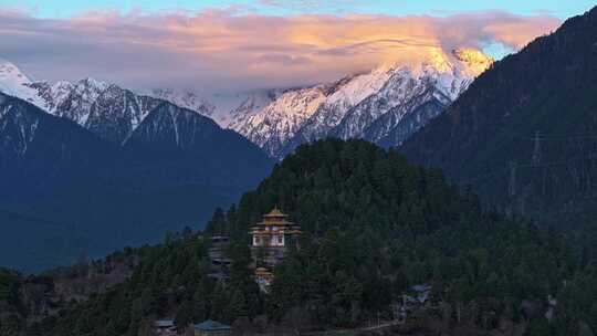 西藏林芝雪山森林