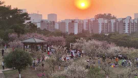 中国广东省广州市黄埔区市民广场梅花