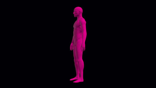 3d Man Pink Skin旋转循环