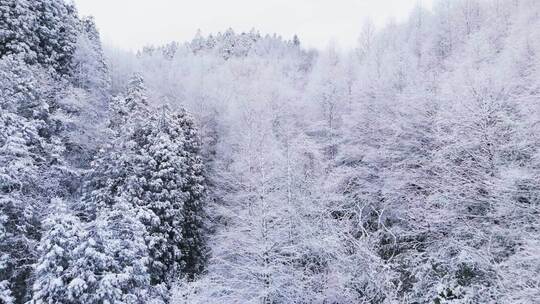 航拍山王坪冬天雪景