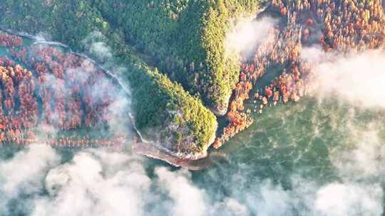 宁国 宣城秋天 落羽杉 山水中国 红杉林