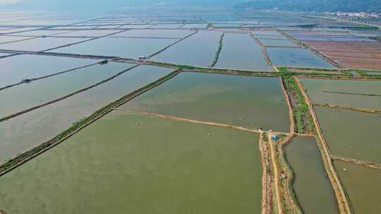 霞浦 鱼虾养殖业 水产养殖业视频素材模板下载