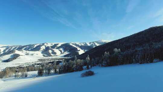 新疆冬季雪景原始森林航拍 新疆喀纳斯雪景