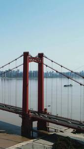 城市航拍武汉鹦鹉洲长江大桥竖屏