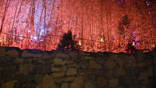 夜晚石墙后灯光映照的竹林
