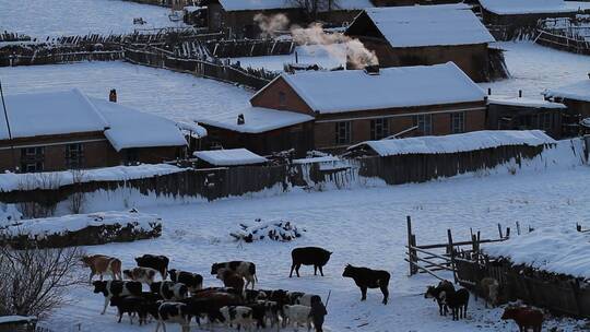 中俄边境冬季雪乡村庄