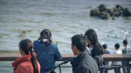 深圳湾海边游客人文