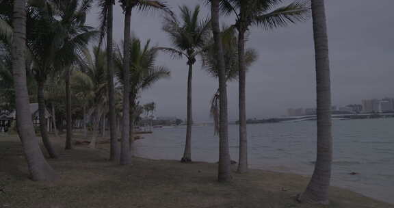 海南海花岛椰树海岸