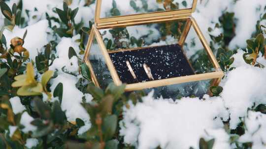 婚礼乐队、设计、雪、盒子