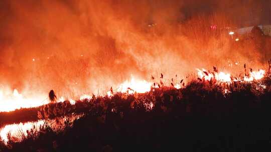 火灾失火山火浓烟视频素材模板下载