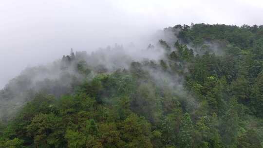 震撼高山云海航拍（福州鼓岭）2