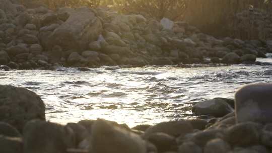 水 小溪 流动 河流 蜿蜒 清澈