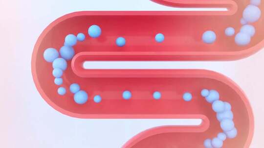医学动画结肠蠕动教育、科学和医学3D动画
