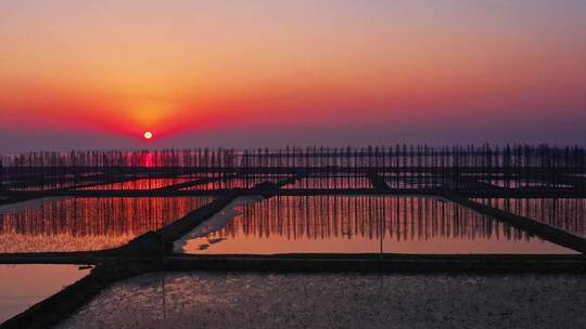 涨渡湖 冬景 夕阳