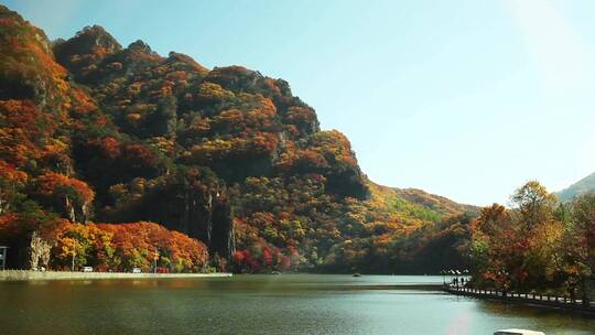 秋季枫叶风景