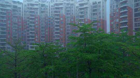雨天时的现代城市住宅小区园林绿树景观