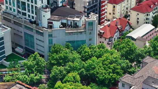 上海市徐汇区东湖路东湖大厦地产集团大厦