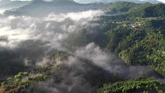 4k航拍森林云海大好河山