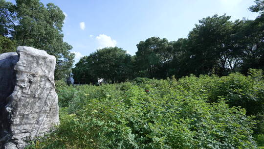 湖北武汉东湖落雁景区