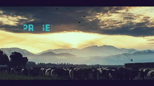 自然整洁标题字幕条图像展示片场AE模板