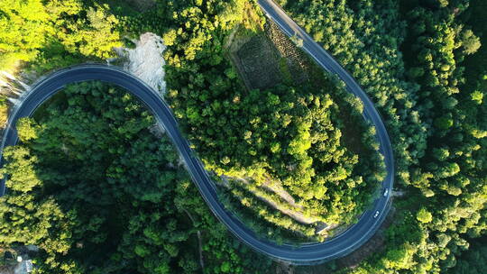 俯拍林中回头弯的公路