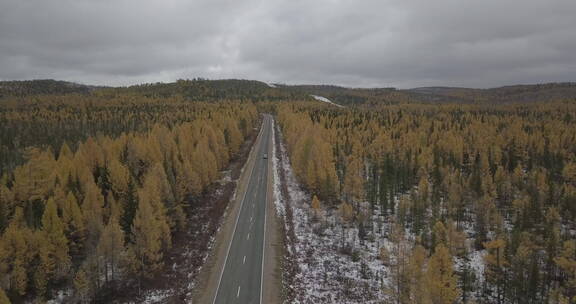 俄罗斯西伯利亚平原森林公路