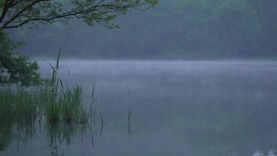 2 杭州 西湖 雾气 水面 风景